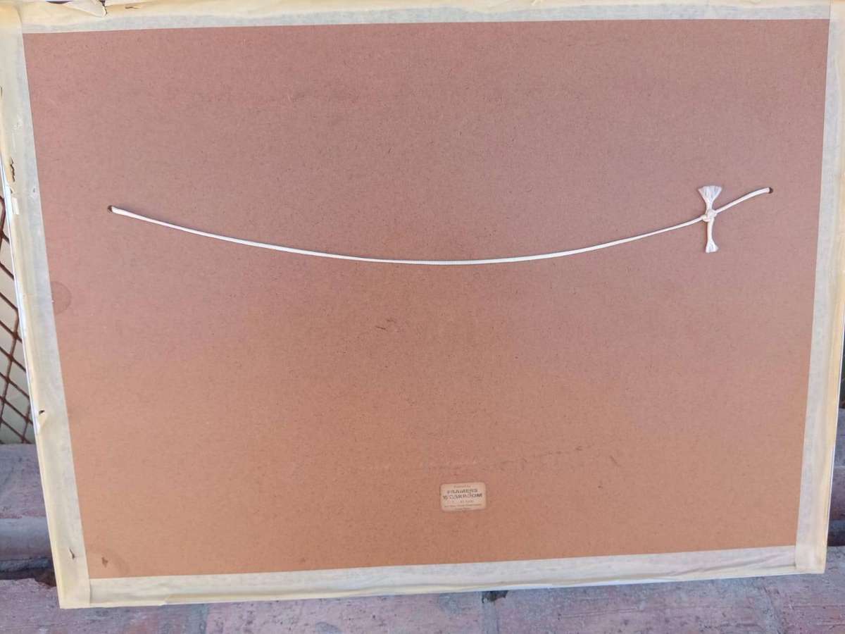 SAR TRAIN PICTURE LOCOMOTIVE ENGINE NO2959