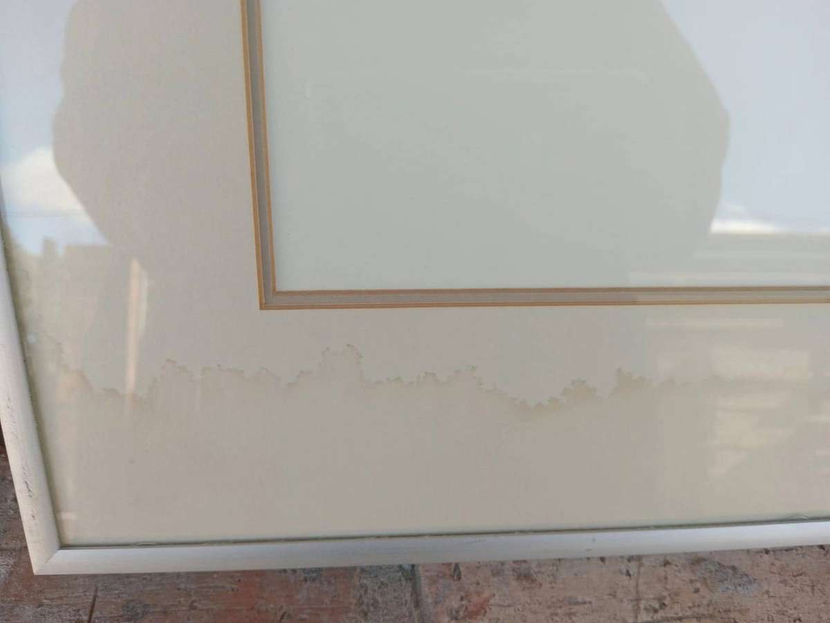 SAR TRAIN PICTURE LOCOMOTIVE ENGINE NO2959