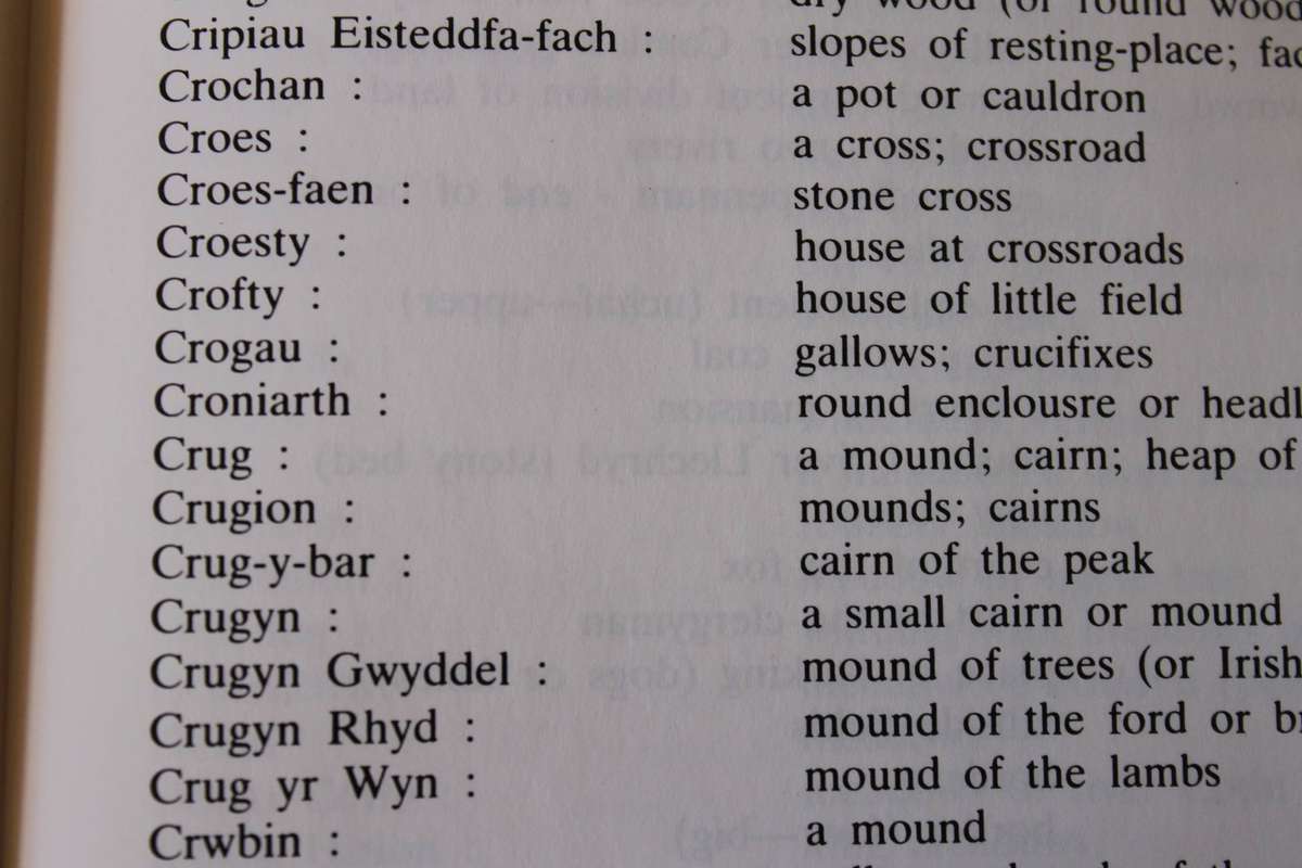 WELSH PLACE-NAMES AND THEIR MEANINGS  by Dewi Davies