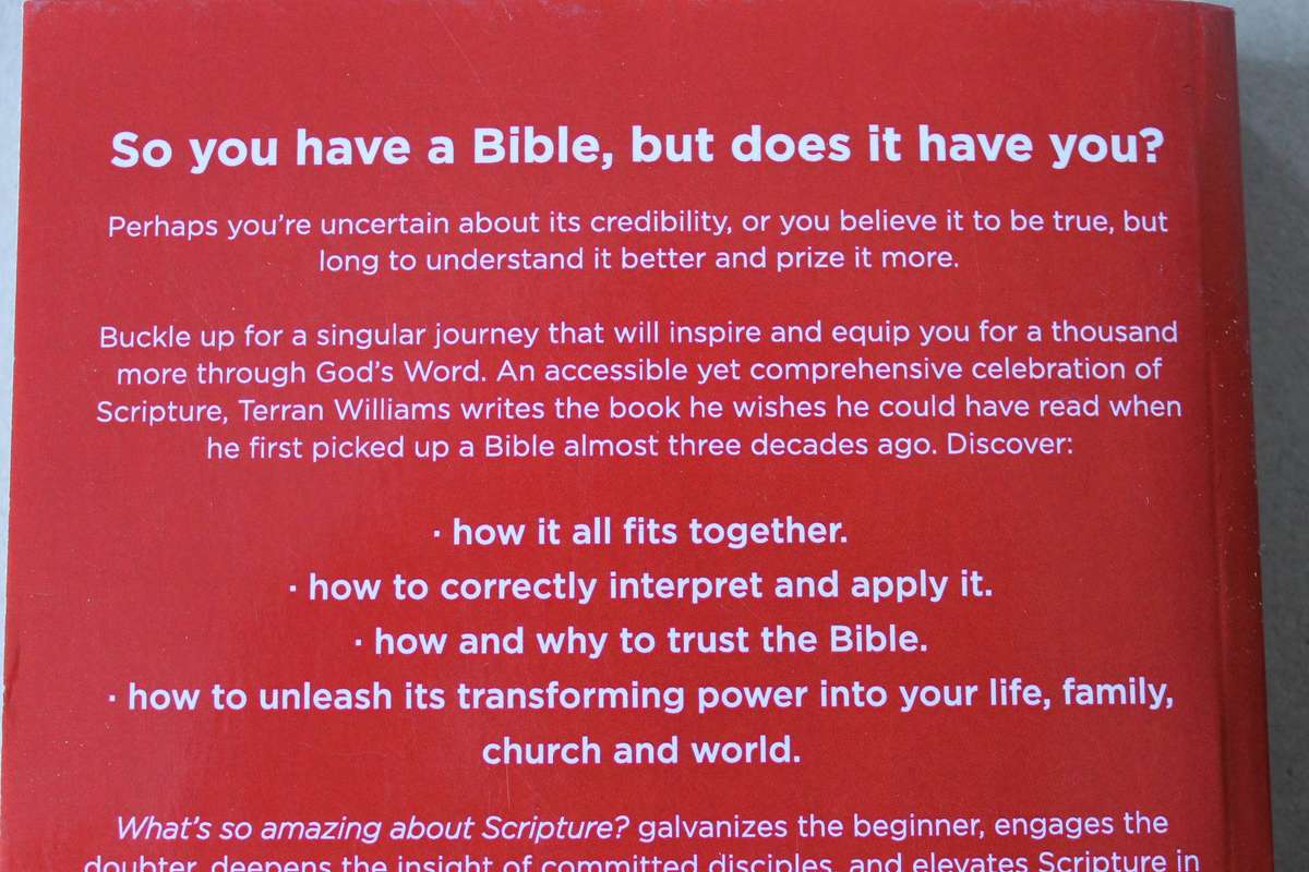 WHAT'S SO AMAZING ABOUT SCRIPTURE? by Terran Williams  How to read it right and tap into its power