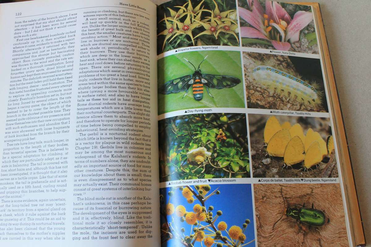 KALAHARI (Life's variety in dune and delta)  by Michael Main