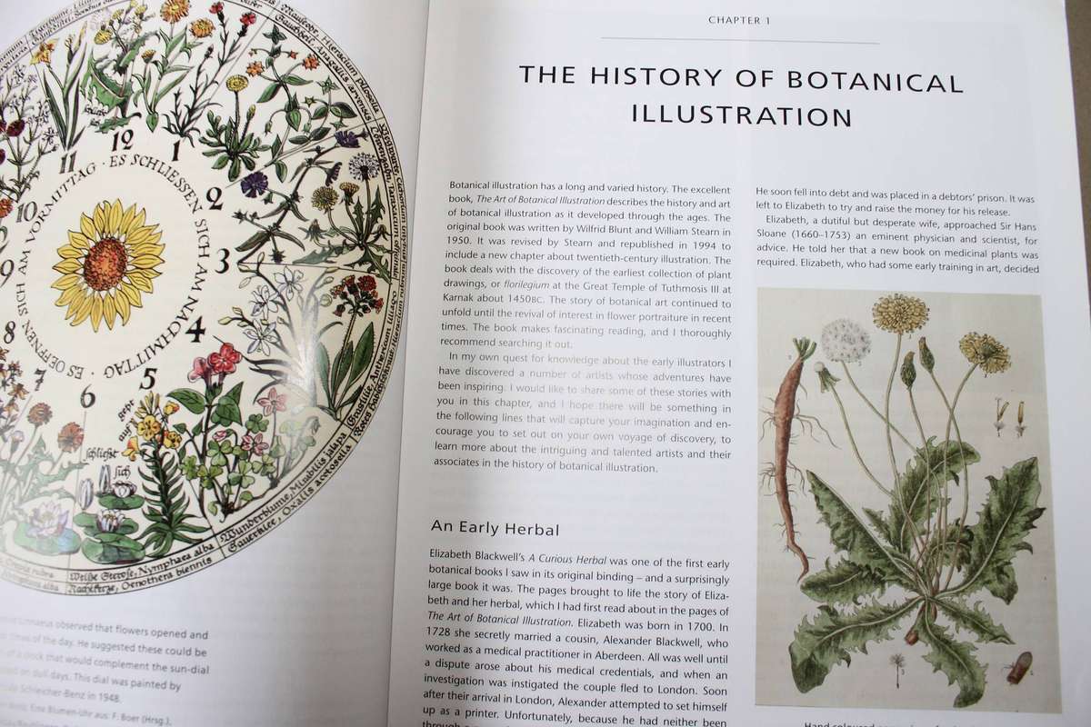 BOTANICAL ILLUSTRATION  by Valerie Oxley (Practical Art)