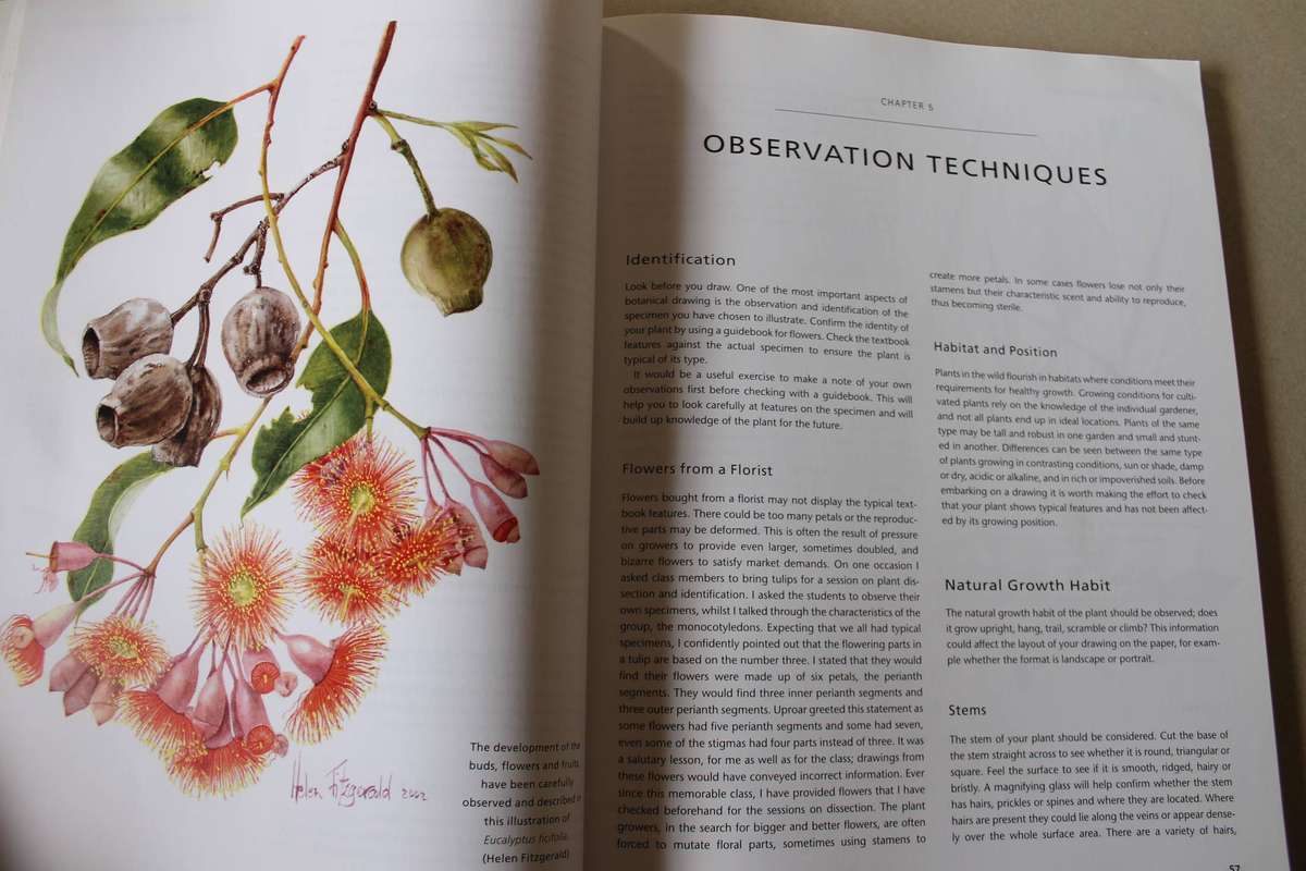 BOTANICAL ILLUSTRATION  by Valerie Oxley (Practical Art)