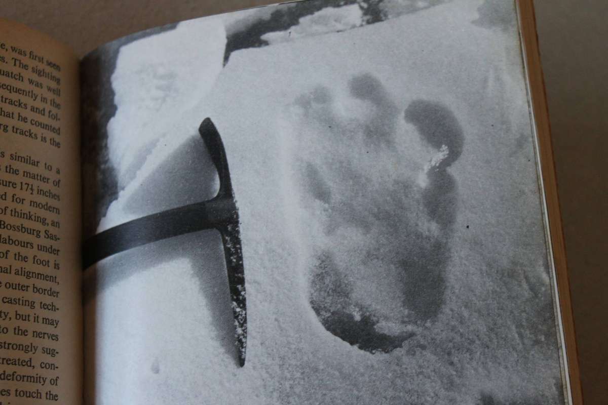 BIGFOOT The Yeti and Sasquatch in Myth and Reality  by John Napier