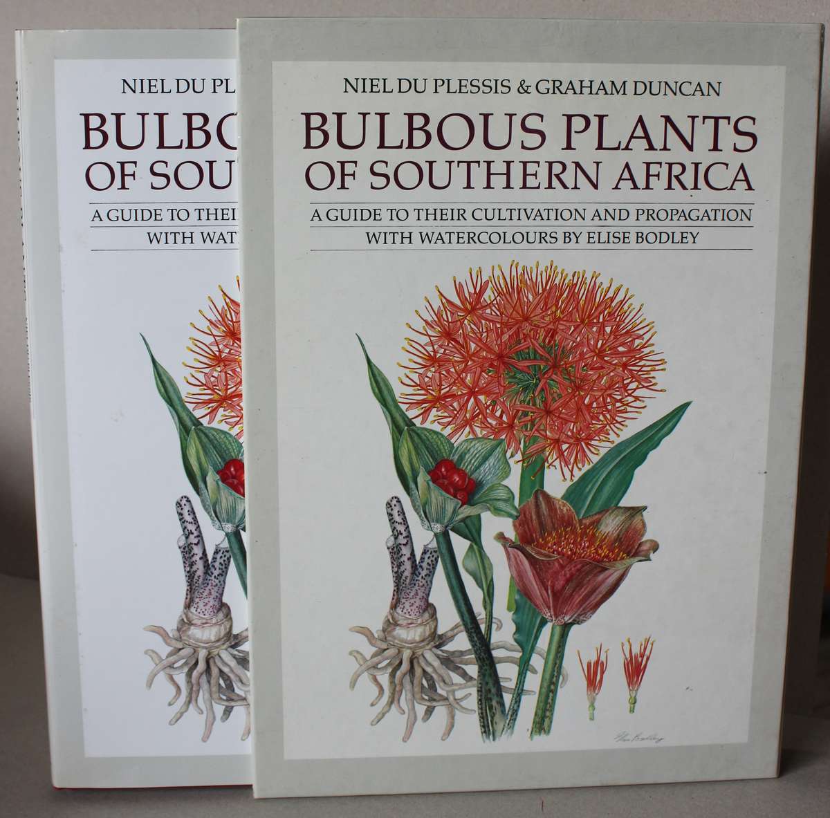 NIEL DU PLESSIS & GRAHAM DUNCAN. BULBOUS PLANTS of Southern Africa.
