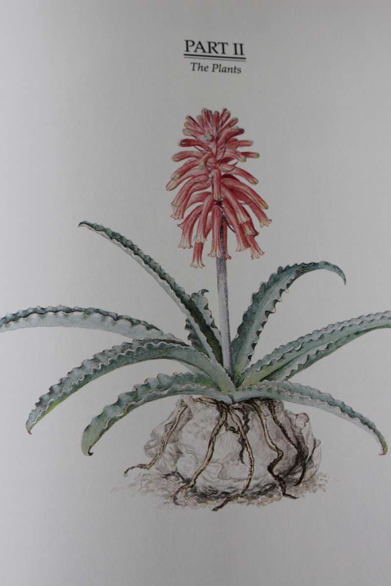 NIEL DU PLESSIS & GRAHAM DUNCAN. BULBOUS PLANTS of Southern Africa.