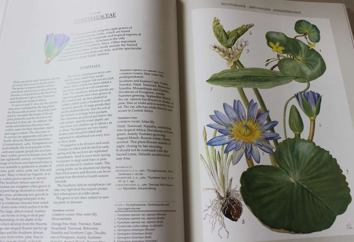 NIEL DU PLESSIS & GRAHAM DUNCAN. BULBOUS PLANTS of Southern Africa.