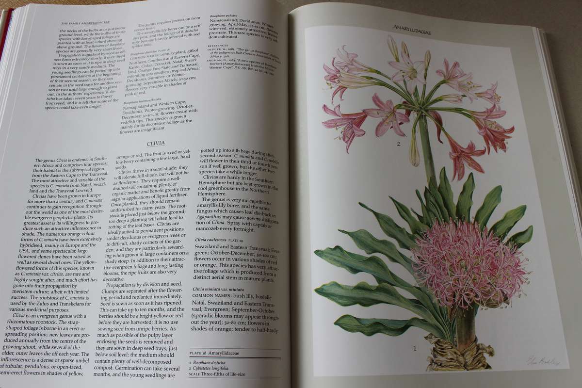 NIEL DU PLESSIS & GRAHAM DUNCAN. BULBOUS PLANTS of Southern Africa.
