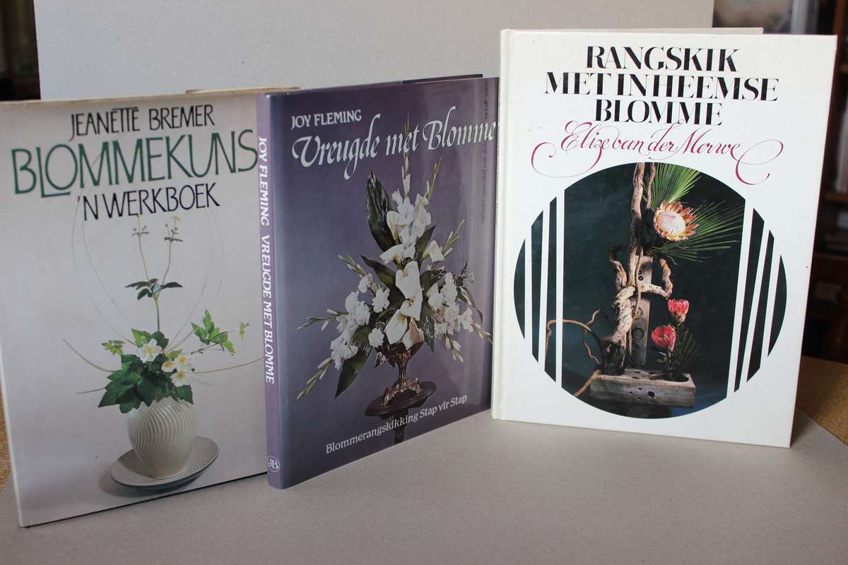 BLOMMERANGSKIKKINGS (3 Boeke)  deur Elize v d Merwe, Joy Fleming en Jeanette Bremer