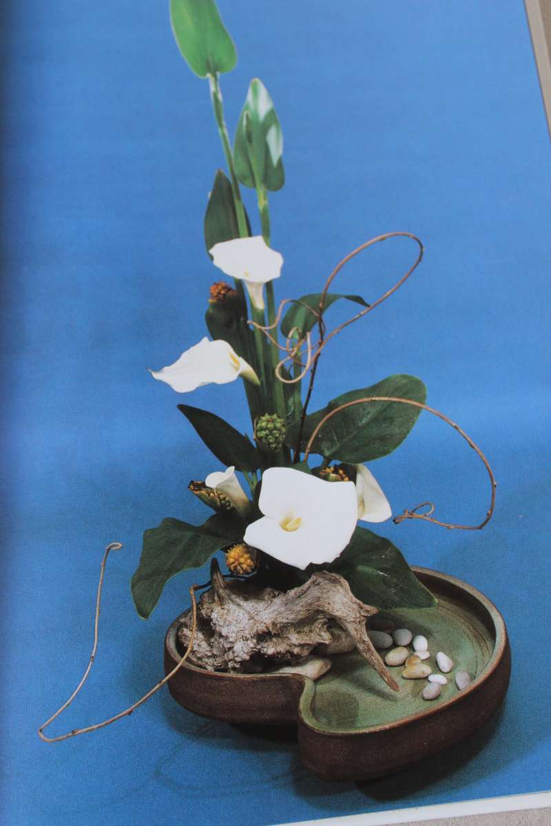 BLOMMERANGSKIKKINGS (3 Boeke)  deur Elize v d Merwe, Joy Fleming en Jeanette Bremer