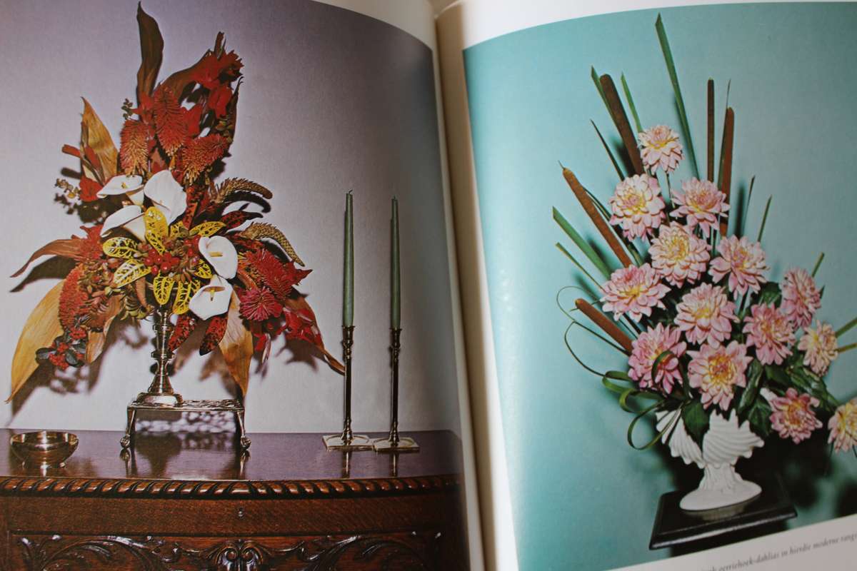 BLOMMERANGSKIKKINGS (3 Boeke)  deur Elize v d Merwe, Joy Fleming en Jeanette Bremer