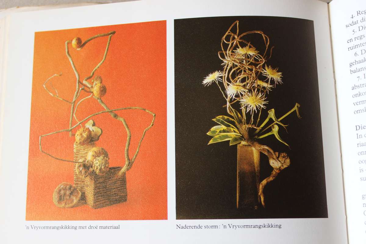 BLOMMERANGSKIKKINGS (3 Boeke)  deur Elize v d Merwe, Joy Fleming en Jeanette Bremer