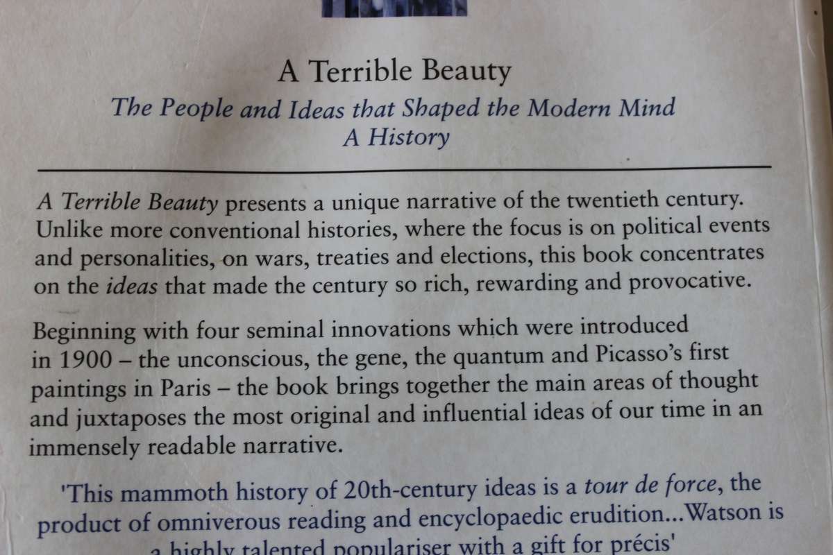 A TERRIBLE BEAUTY  by Peter Watson (The People and Ideas that shaped the modern mind)