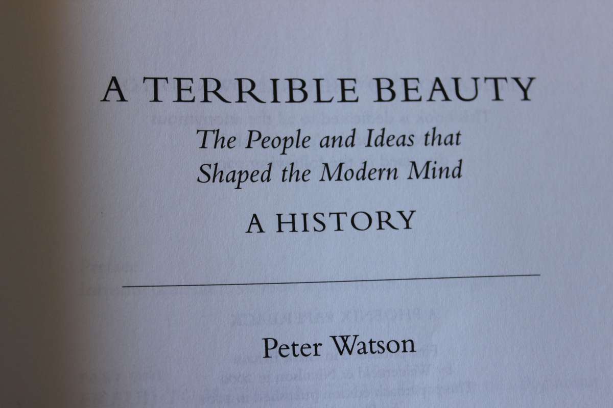 A TERRIBLE BEAUTY  by Peter Watson (The People and Ideas that shaped the modern mind)