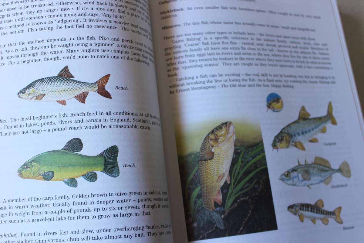 THE DANGEROUS BOOK FOR BOYS  by Gonn and Hal Iggulden