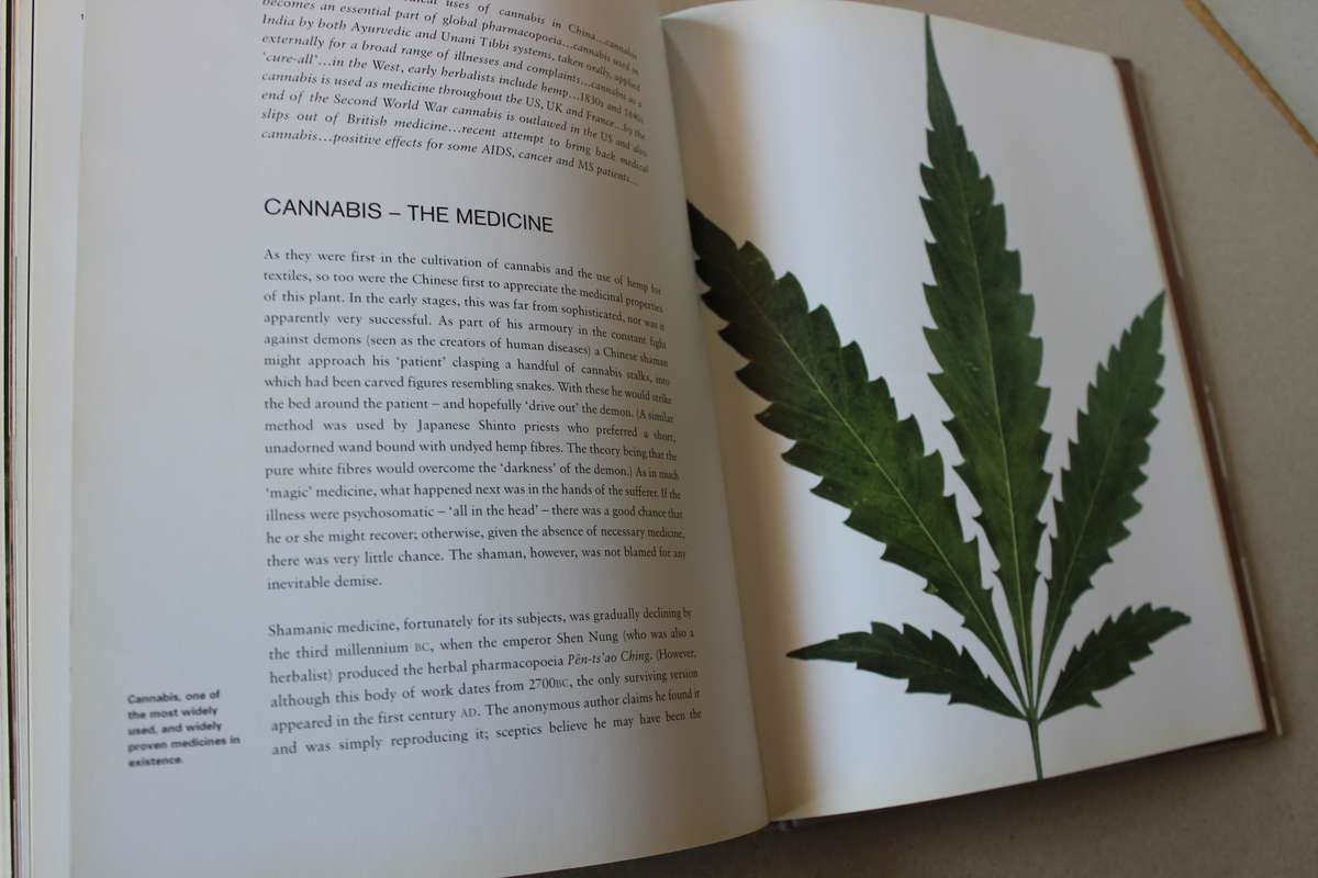 CANNABIS  by Jonathon Green