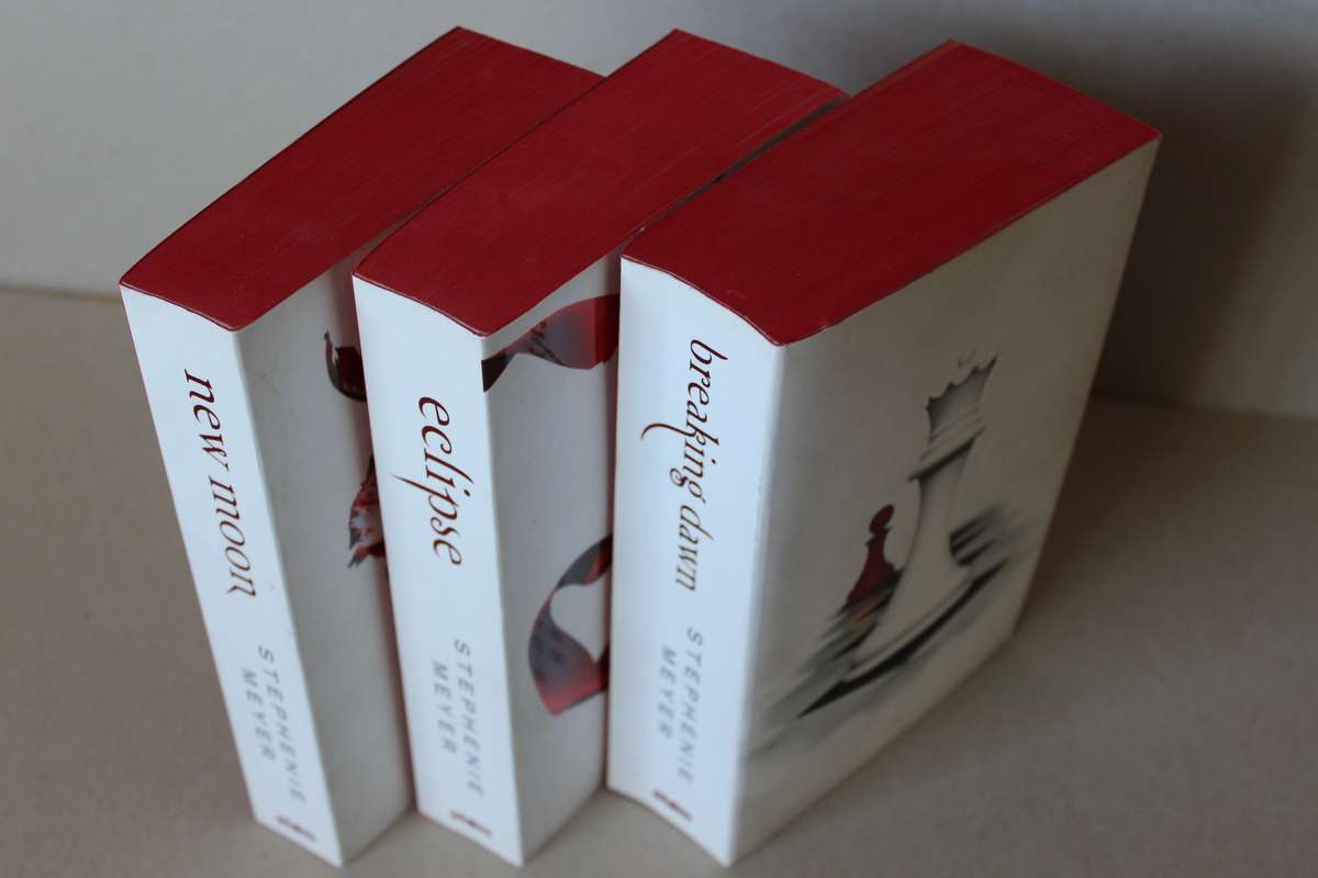 NEW MOON, ECLIPSE AND BREAKING DAWN  BOOKS 2,3 AND 4  by Stephanie Meyer