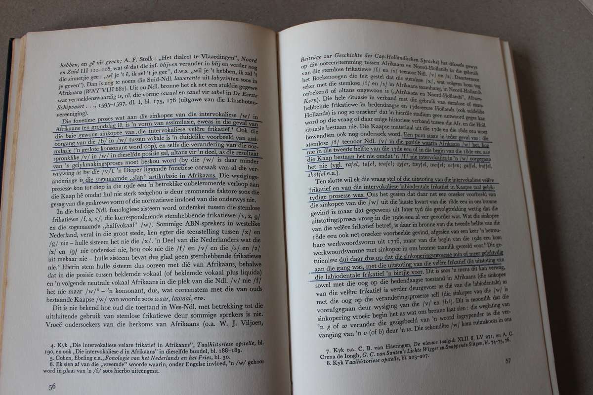 AFRIKAANS -HOLLANDS IN DIE AGTIENDE EEU  deur J. du P. Scholtz