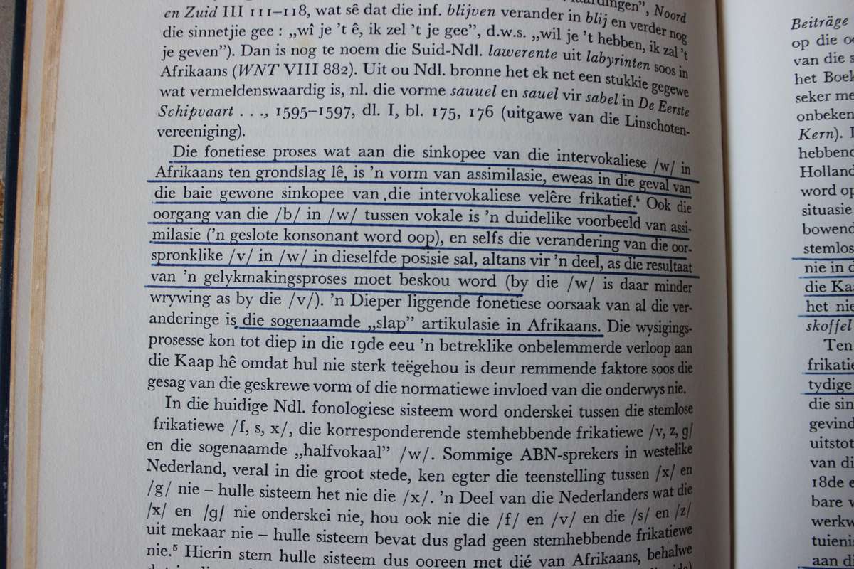 AFRIKAANS -HOLLANDS IN DIE AGTIENDE EEU  deur J. du P. Scholtz