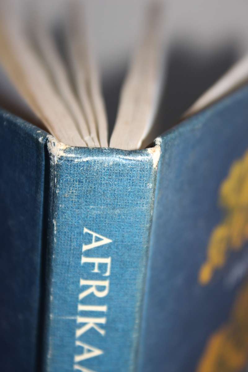 AFRIKAANS -HOLLANDS IN DIE AGTIENDE EEU  deur J. du P. Scholtz