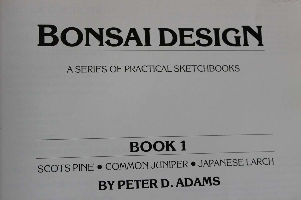 BONSAI DESIGN  by Peter Adams (Scots Pine, Common Juniper and Japanese Larch)