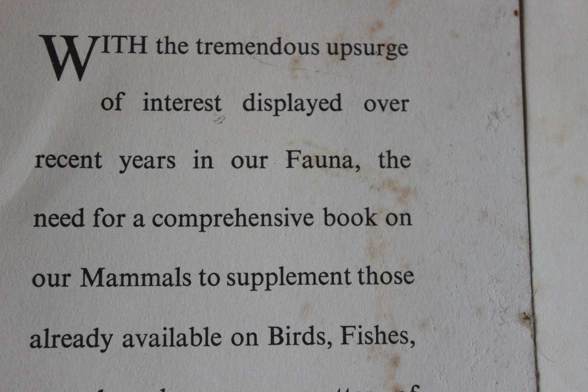 THE MAMMALS OF SOUTH AFRICA  by Austin Roberts