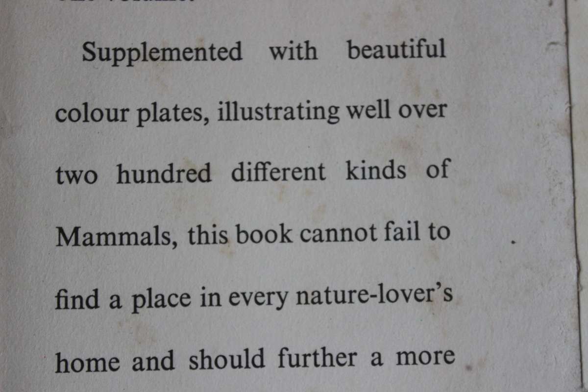 THE MAMMALS OF SOUTH AFRICA  by Austin Roberts