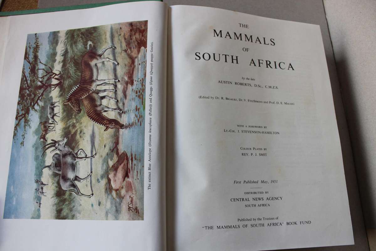 THE MAMMALS OF SOUTH AFRICA  by Austin Roberts