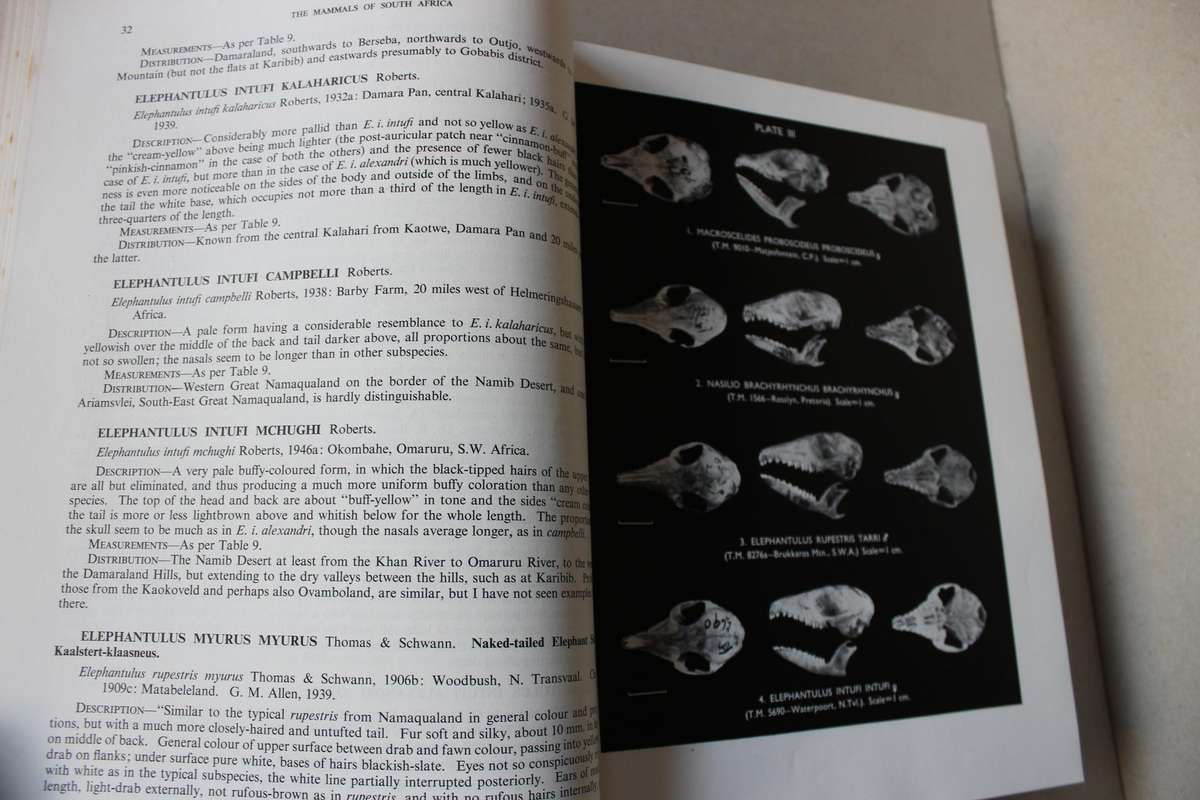 THE MAMMALS OF SOUTH AFRICA  by Austin Roberts
