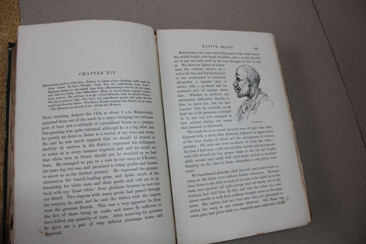 THE NEW AFRICA - A Journey up the Chobe and down Okovanga Rivers by Aurel Schulz and August Hammar