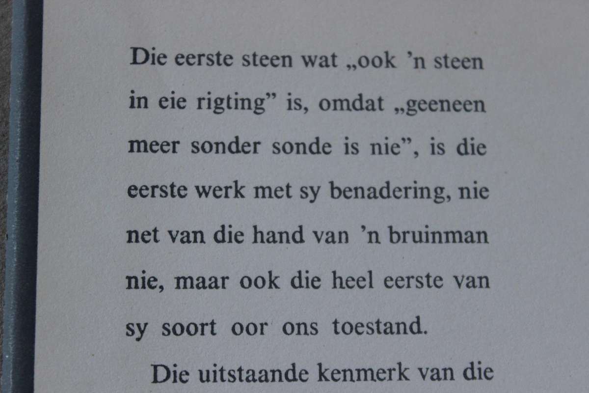 DIE EERSTE STEEN  deur Adam Small