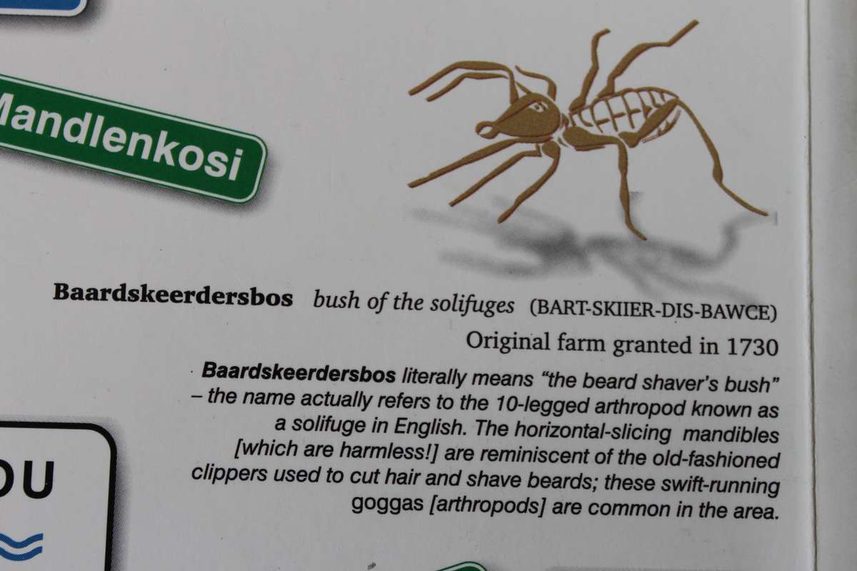 PLACE NAMES IN THE CAPE  by Ed Coombe & Peter Slingsby