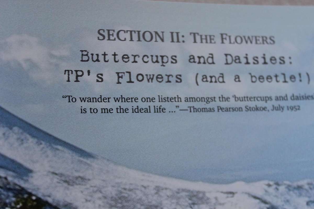 T. P. STOKES The man, the myths, the flowers  by Peter Slingsby & Amida Johns