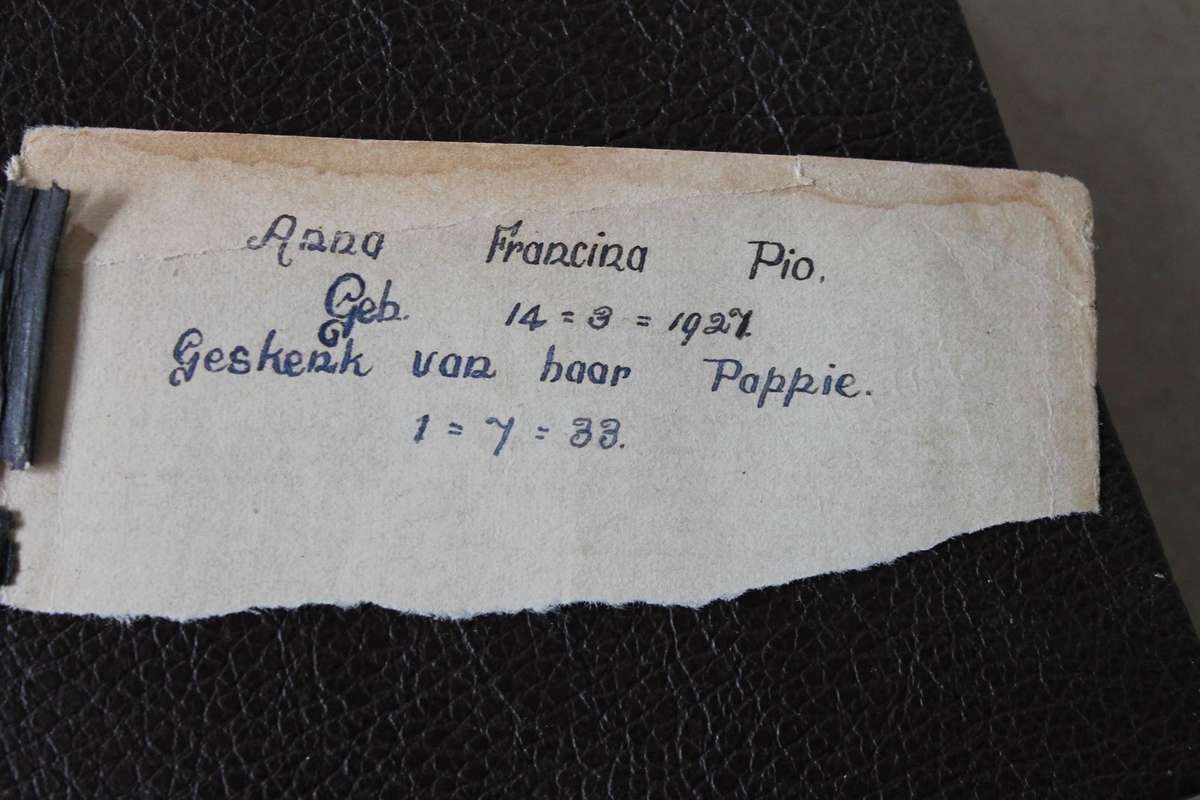 1933 AFRIKAANSE BYBEL