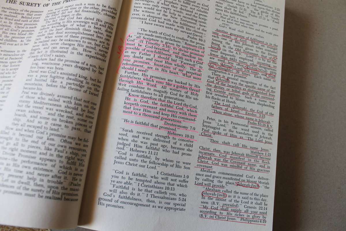 ALL THE PROMISES OF THE BIBLE  by Herbert Lockyer