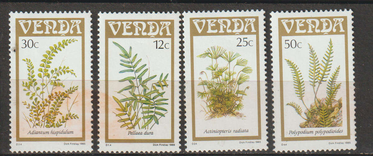 Venda UMM Set Ferns 1985