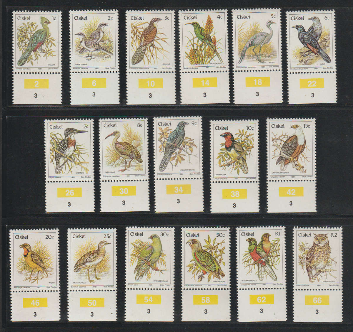 Ciskei UMM Set Birds 1981 CV R300