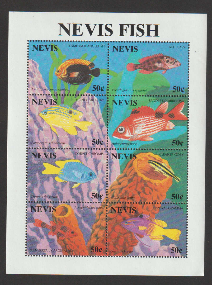Nevis SCARCE UMM Minisheet Fish 1994