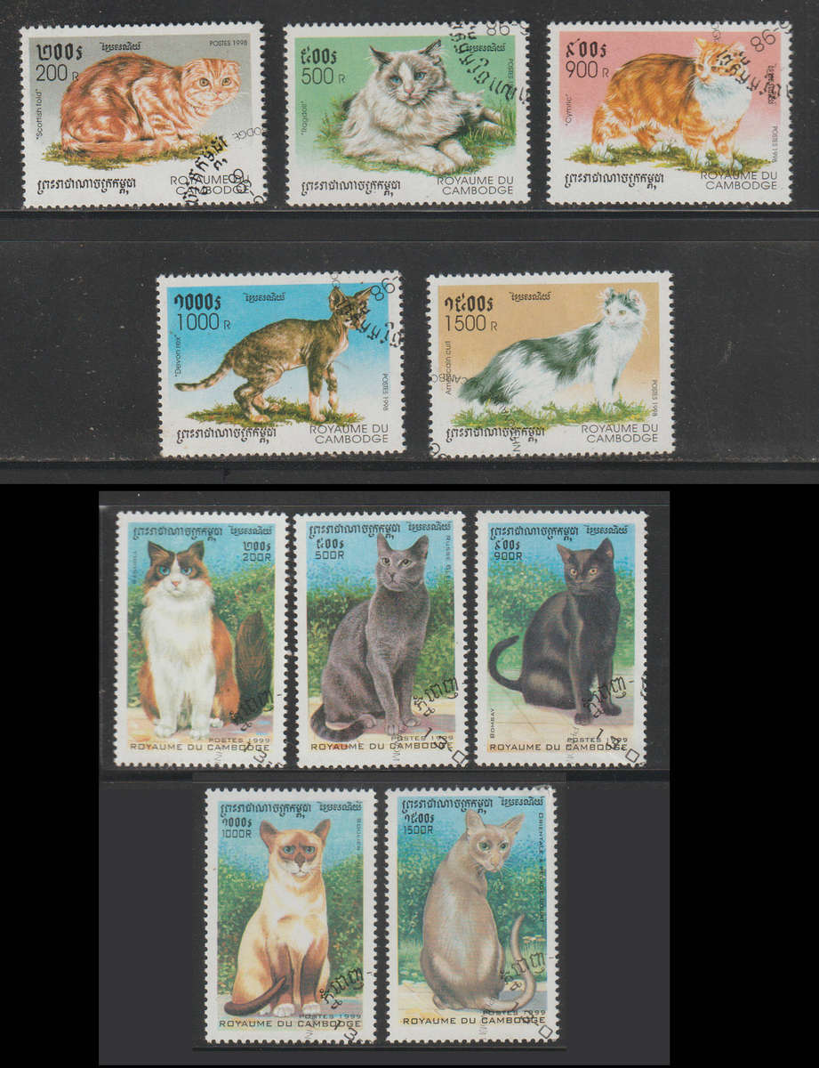 Cambodia Cats