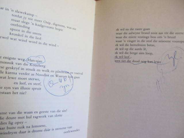 Breyten Breytenbach -  Voetskrif