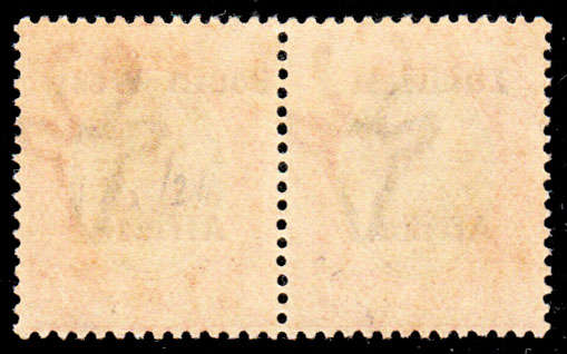 SOUTH WEST AFRICA 1924 KGV TYPE VIa £1 PALE OLIVE-GREEN AND RED PAIR FINE LMM. SACC63a CAT R16000