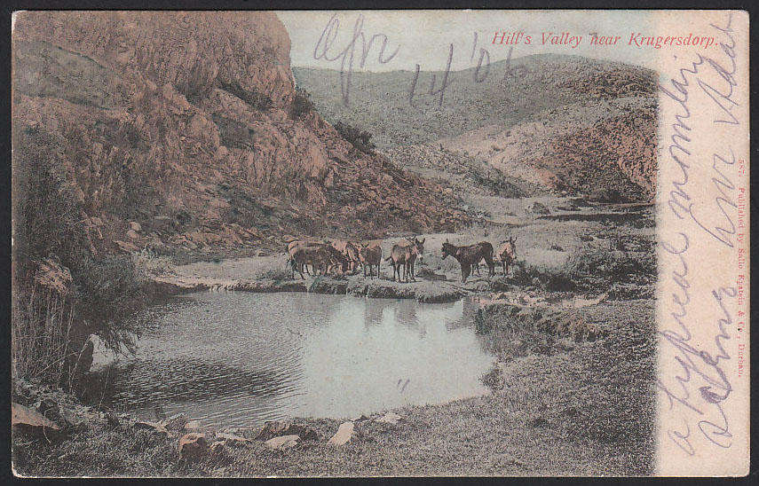 TRANSVAAL 1906 VERY FINE BOXED 'POSTED TOO LATE 1' ON POSTCARD FROM JOHANNESBURH TO USA