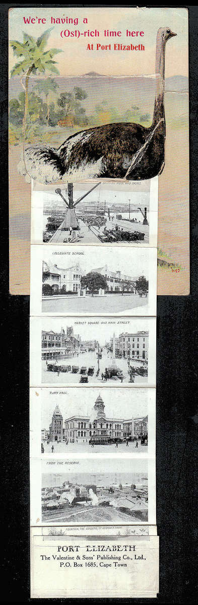 SOUTH AFRICA C 1910 PORT ELIZABETH OSTRICH PICTURE WITH 12 PULL OUT P.E. PHOTOS. SEE BELOW