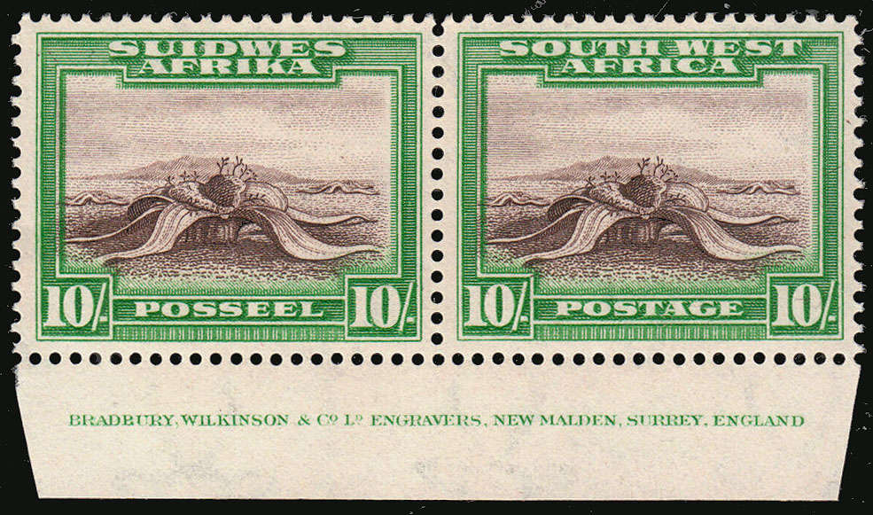 SWA 1931 WELWITSCHIA PLANT 10s PERF UP IMPRINT PAIR VERY FINE MNH. SACC 113a R4500
