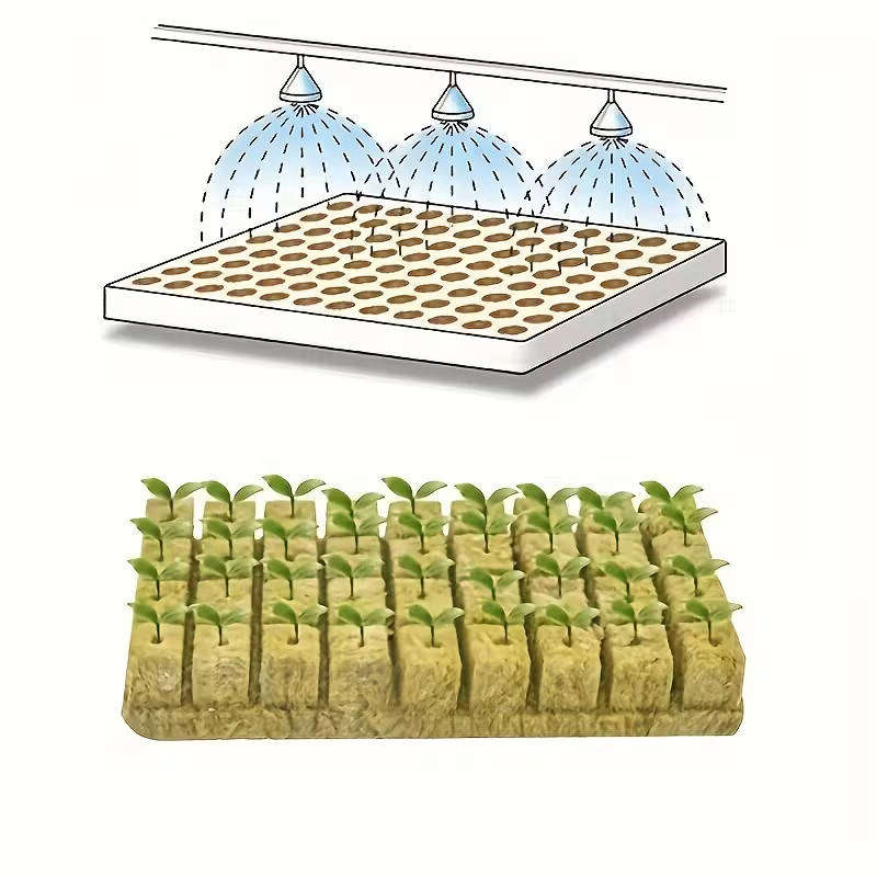 One 50 seed germination rockwool plugs