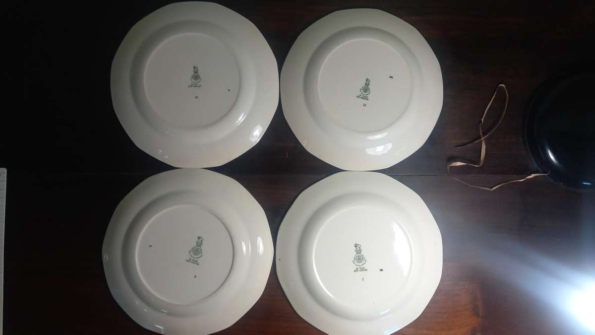 Royal Doulton Old Leeds Spray 10 Pieses