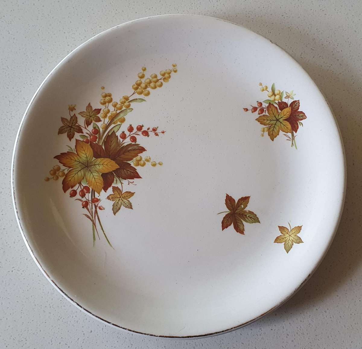 Alfred Meakin England plate - autumn splendour as per photos