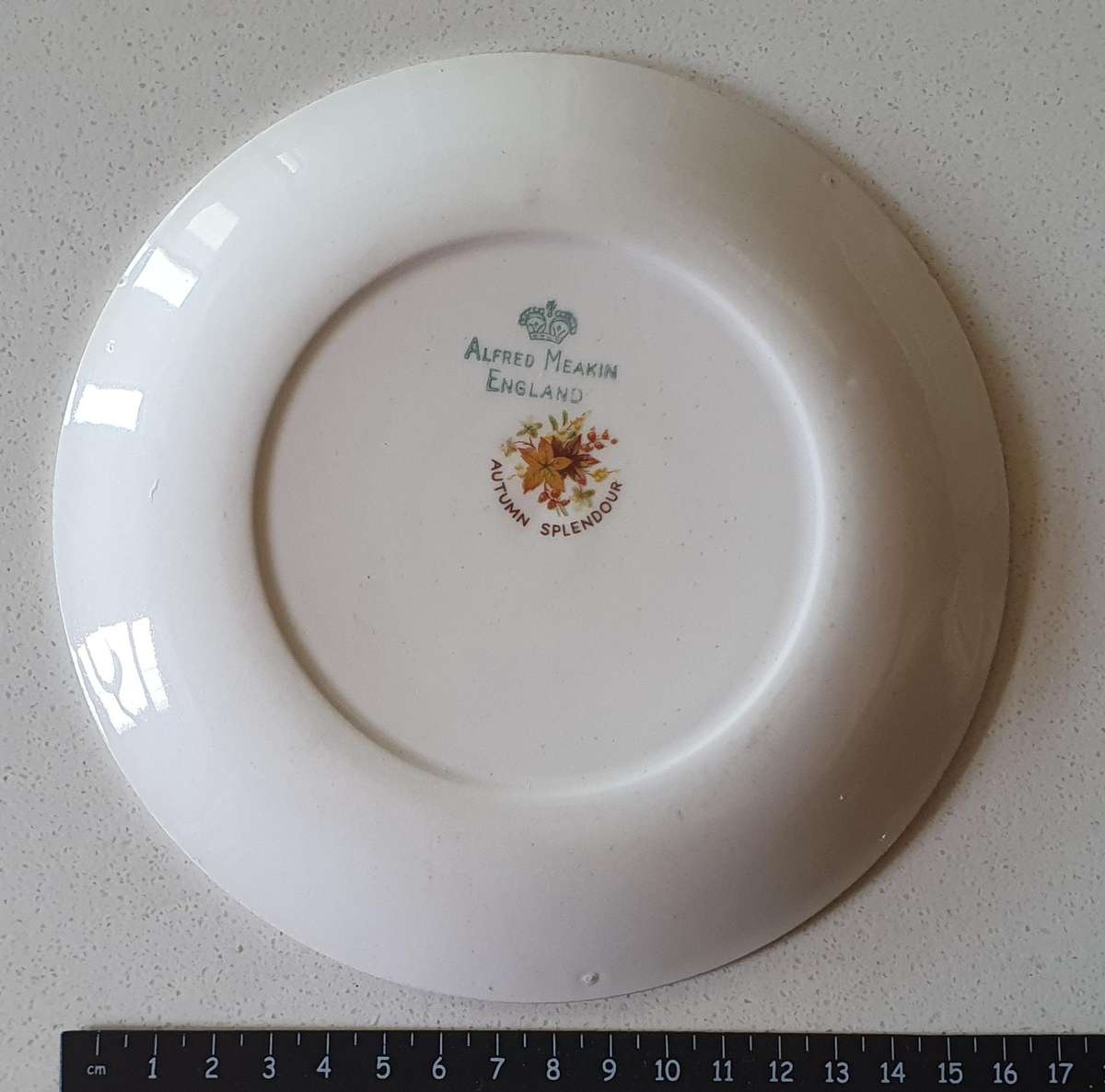 Alfred Meakin England plate - autumn splendour as per photos