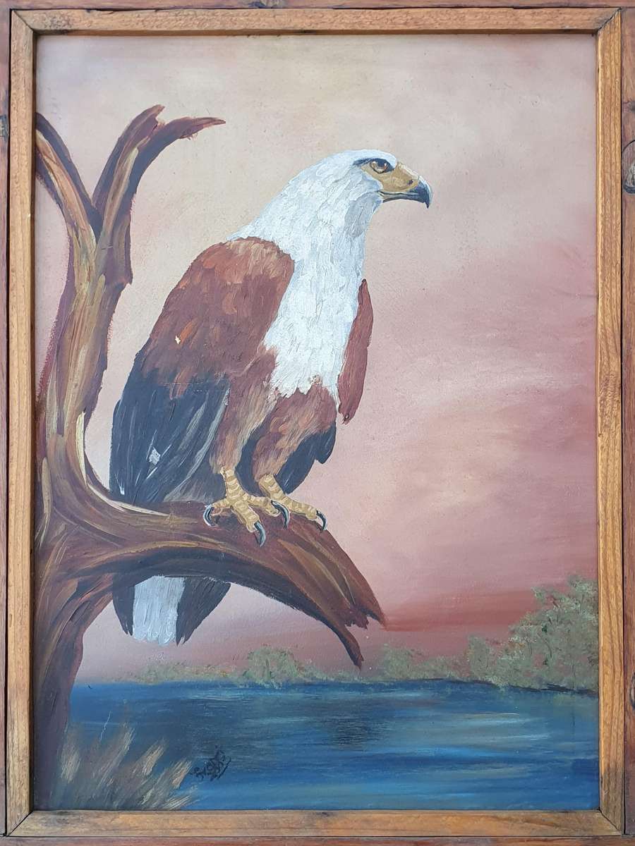 Original acrylic painting of an fish eagle as per photos
