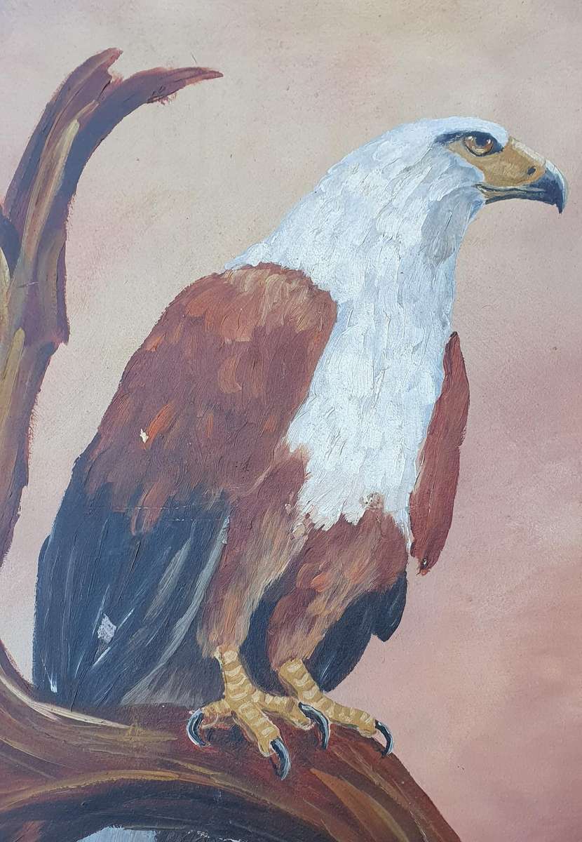 Original acrylic painting of an fish eagle as per photos